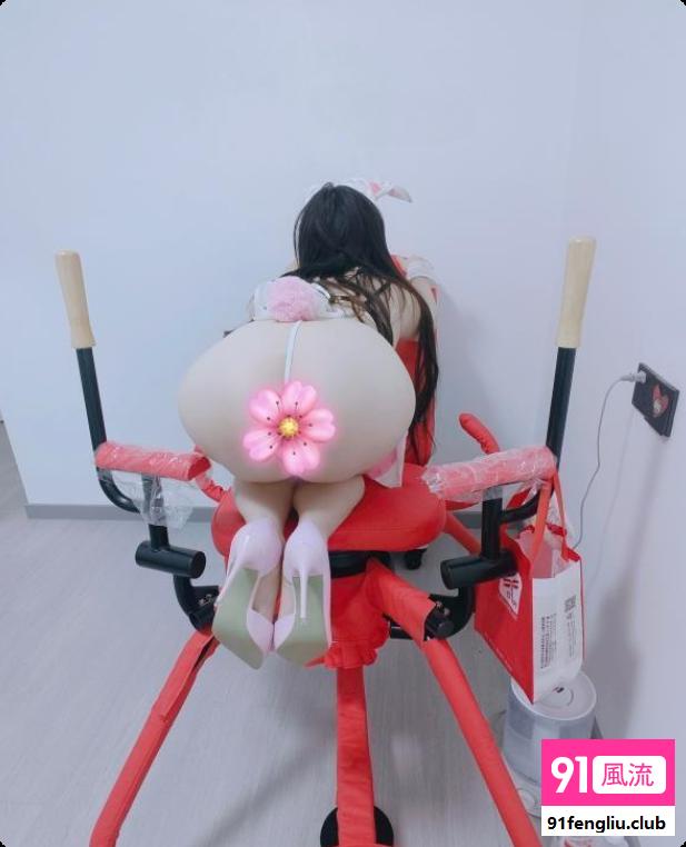 武汉奶兔